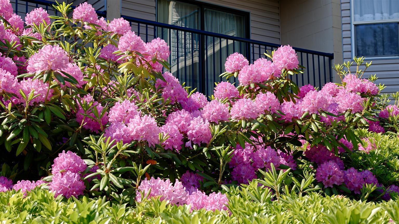 Best Western Northgate Nanaimo Zewnętrze zdjęcie